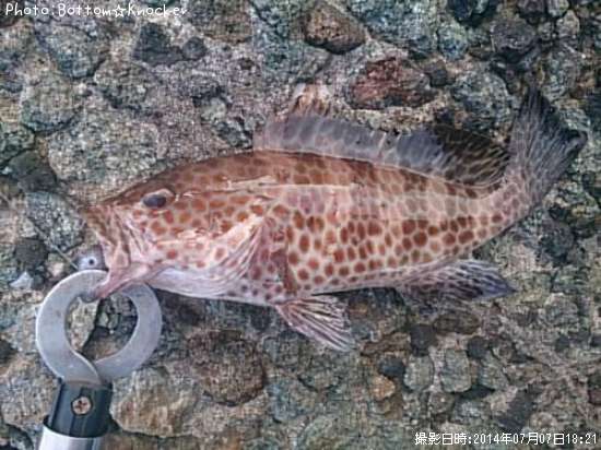 �������ϥ�