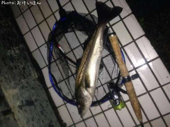 �����Х�