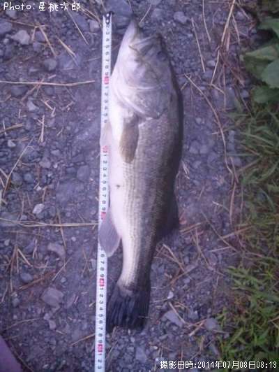 �֥�å��Х�