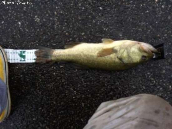 �֥�å��Х�