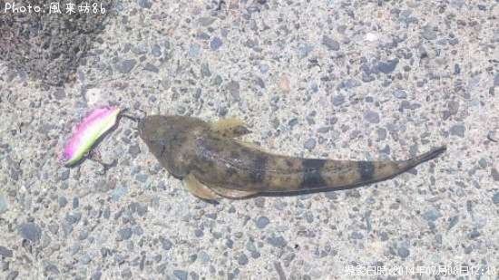 ���ӥޥ���