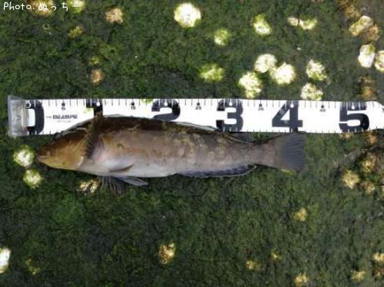 �����ʥ�