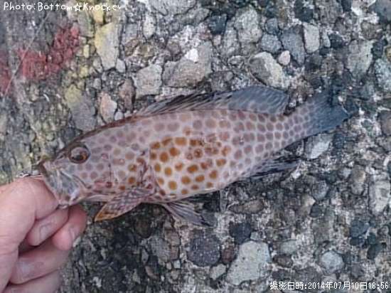 �������ϥ�