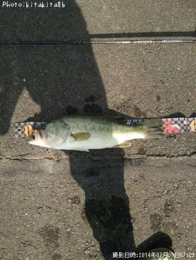 �֥�å��Х�