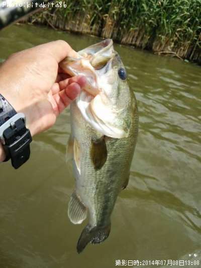 �֥�å��Х�