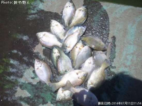 �֥롼����