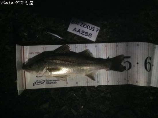 �����Х�