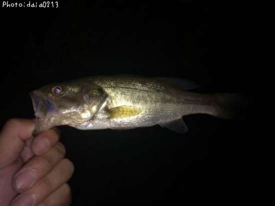 �֥�å��Х�