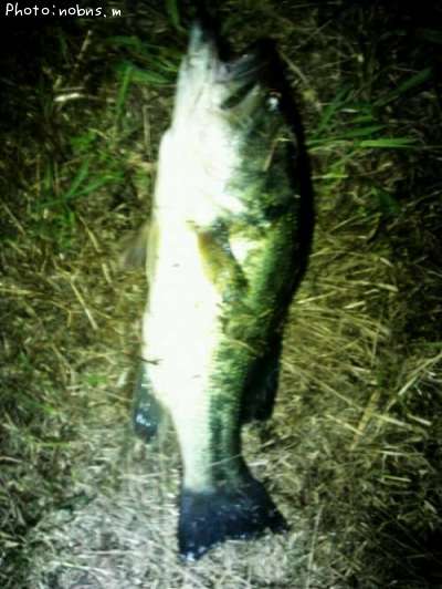 �֥�å��Х�