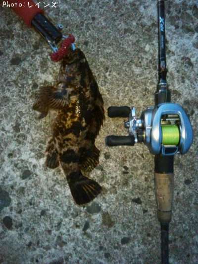 �����Υ���Х�