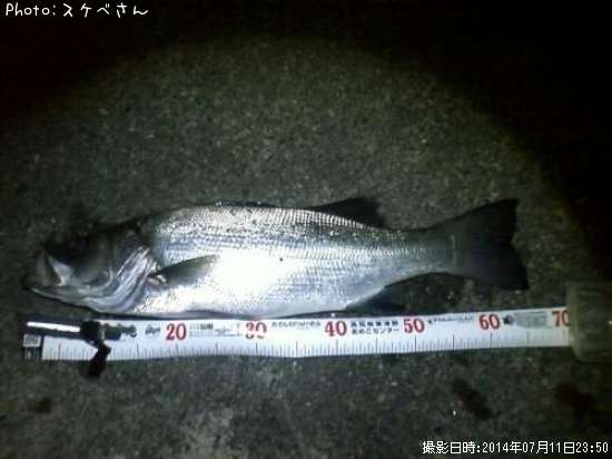 �ҥ饹����