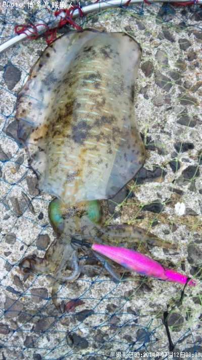 �����ꥤ��