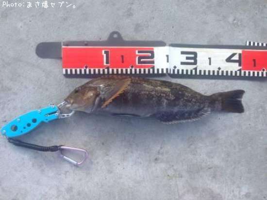 �����ʥ�