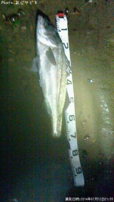 �����Х�