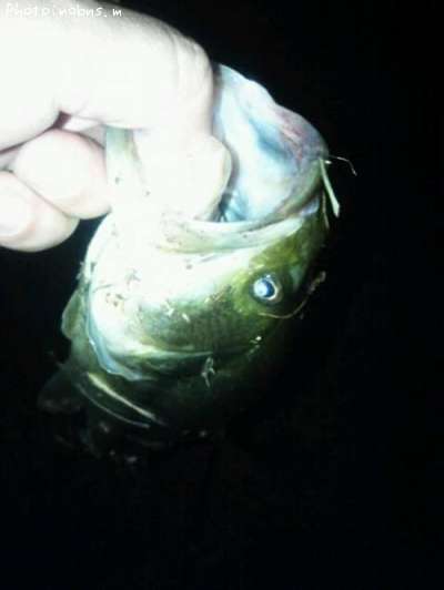 �֥�å��Х�