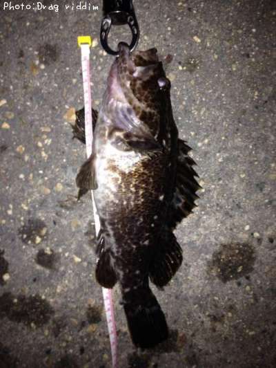 �����Υ���Х�