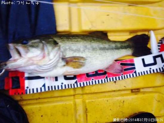 �֥�å��Х�