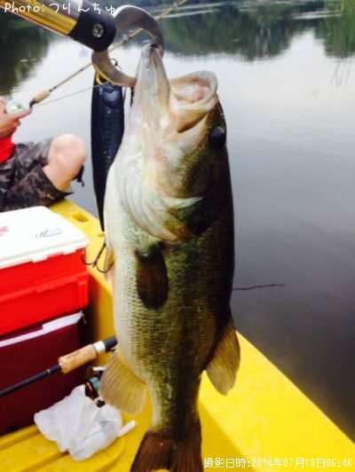 �֥�å��Х�