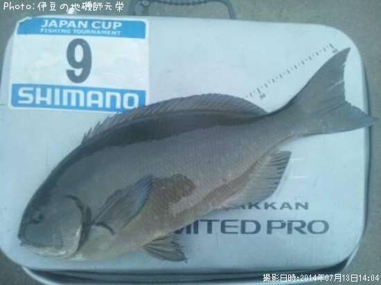 ��Ĺ�᥸��