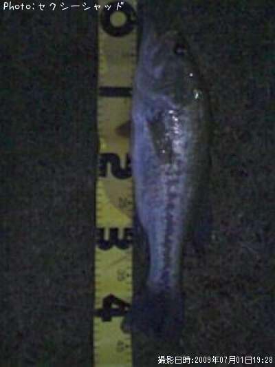 �֥�å��Х�