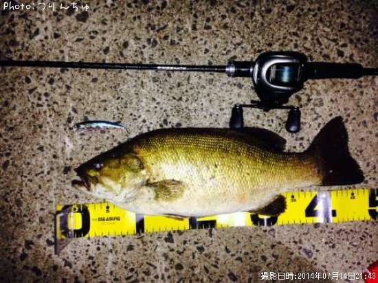 ���⡼��ޥ����Х�