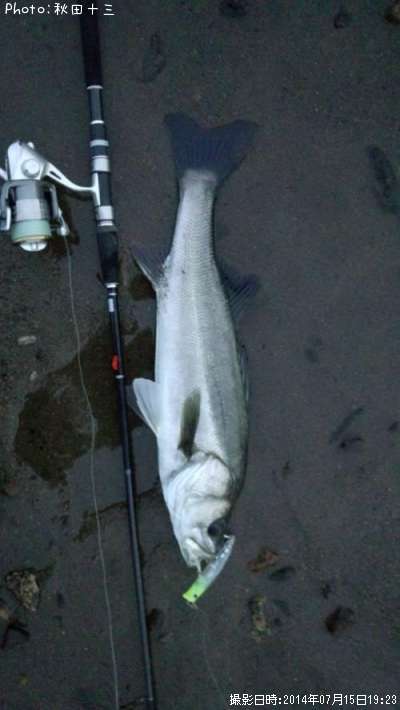 �����Х�