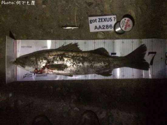 �����Х�