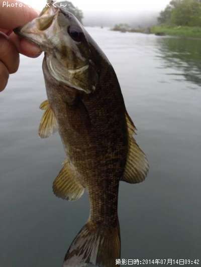 ���⡼��ޥ����Х�