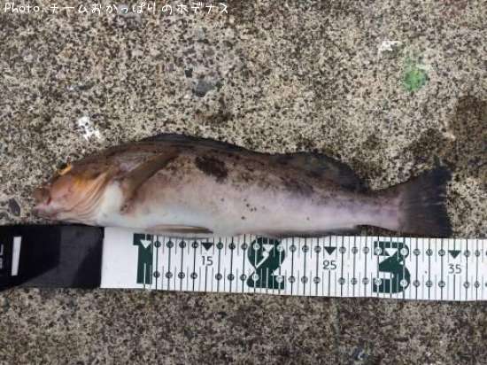 �����ʥ�