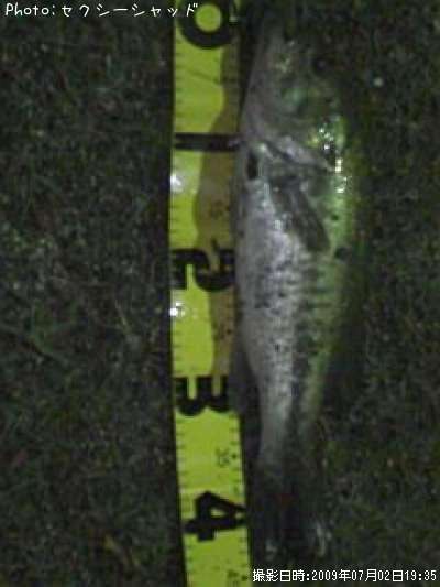 �֥�å��Х�