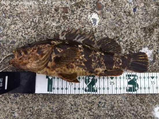 �����Υ���Х�