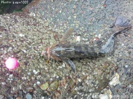 �����ʥ�