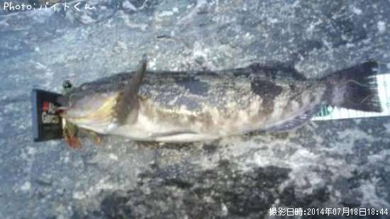 �����ʥ�