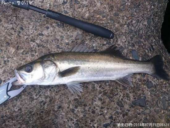 �����Х�