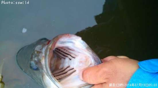 �֥�å��Х�