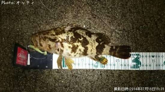 �٥å�������