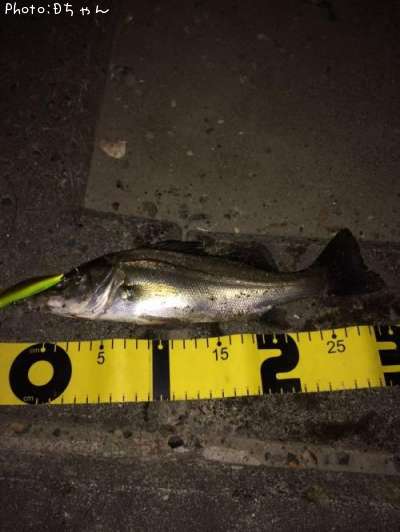 �����Х�