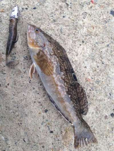 �����ʥ�