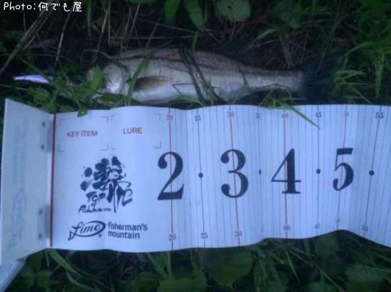 �����Х�