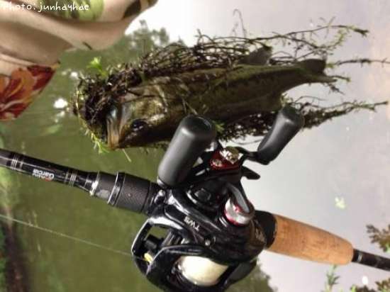 �֥�å��Х�