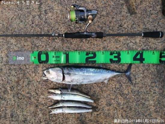 ���������ĥ�