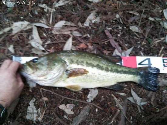 �֥�å��Х�