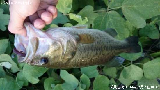 �֥�å��Х�