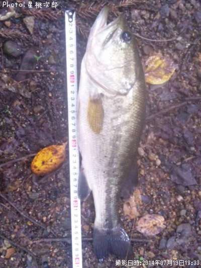 �֥�å��Х�