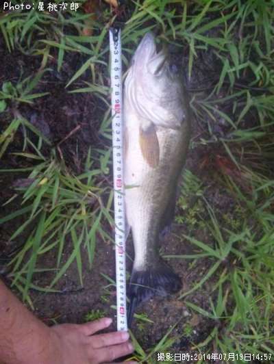 �֥�å��Х�