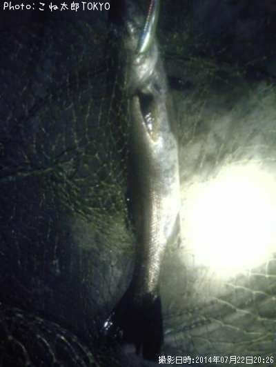 �����Х�