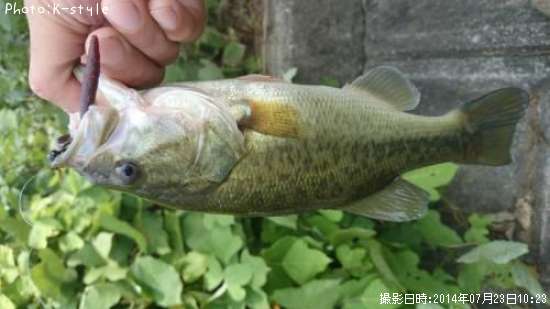 �֥�å��Х�