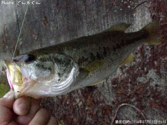 �֥�å��Х�