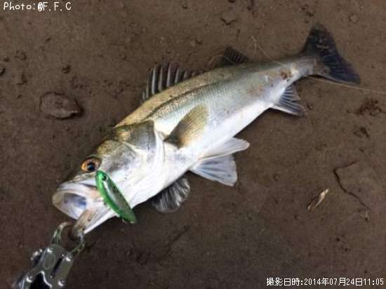 �����Х�