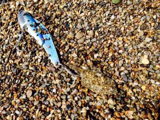 �ҥ����յ���